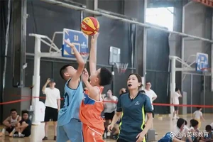 如何评估篮球夏令营的质量和效果?全面指南与策略分析